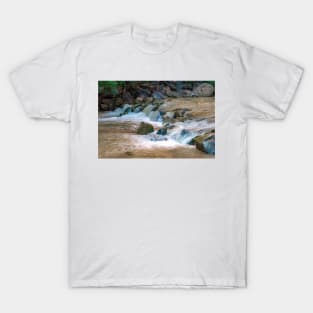 Zion Riverwalk Hike T-Shirt